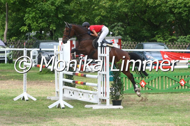 308M5088_Sally_Springpferde Mx.JPG